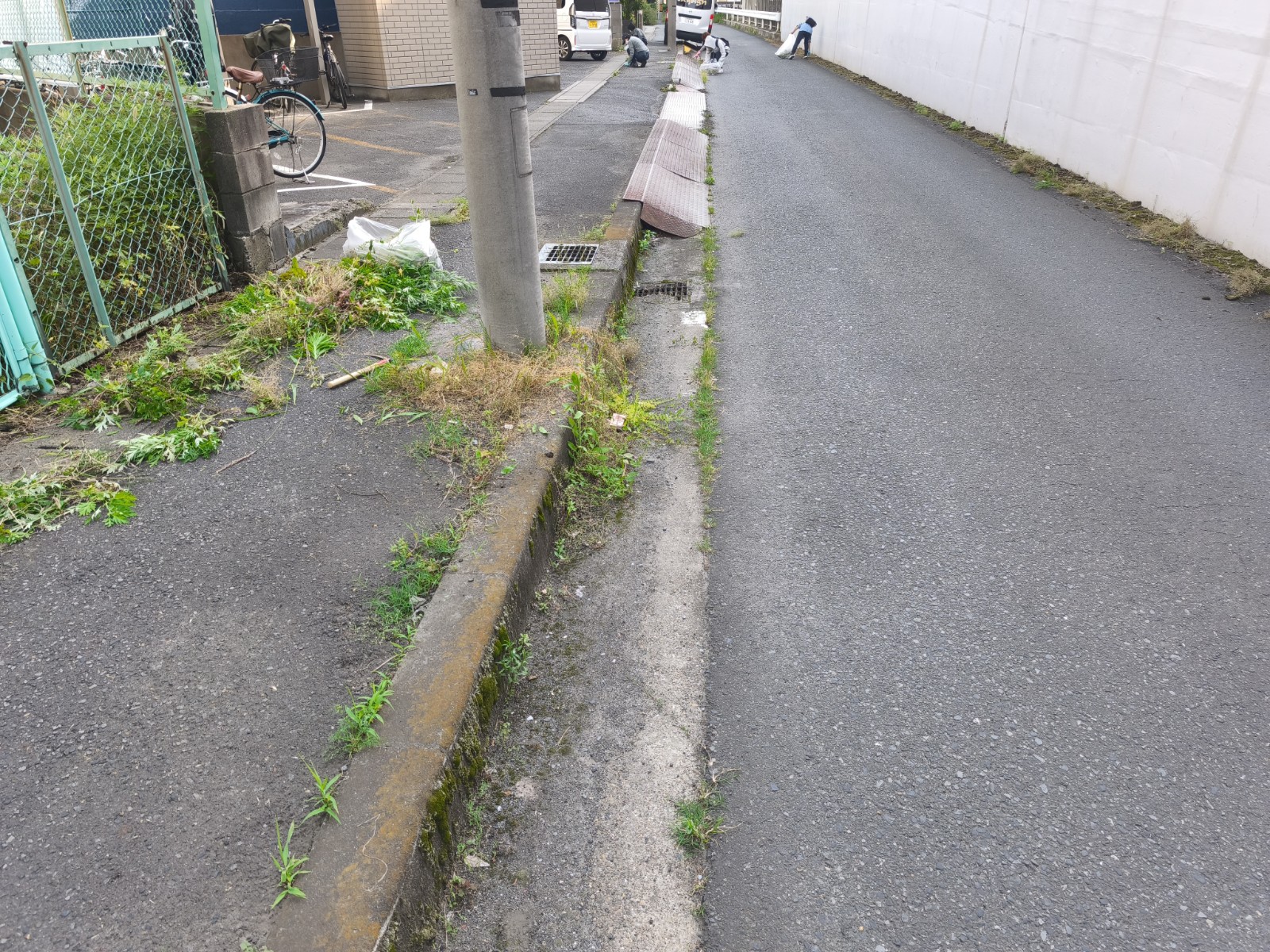 この時期なると結構雑草が生えてます！